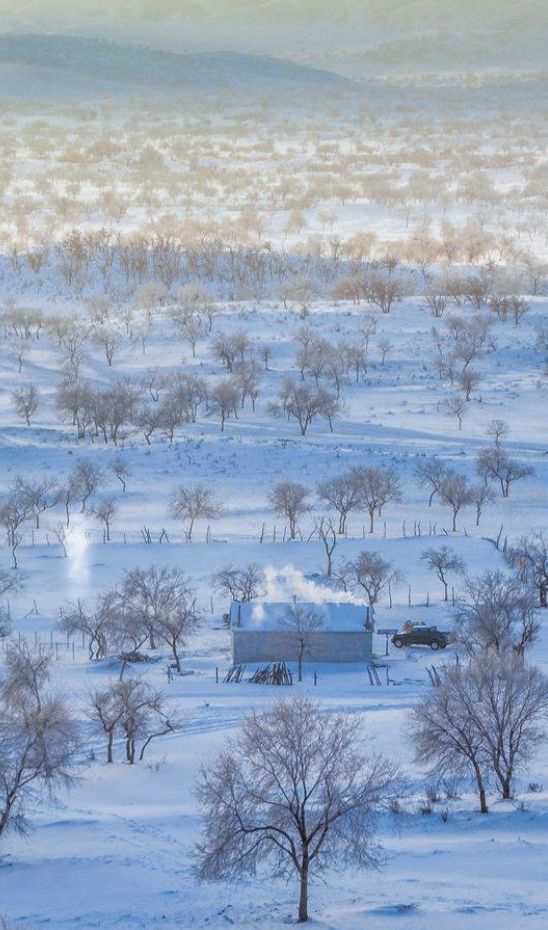 山居艺术 | 云间桃树,泉鸣林深-63