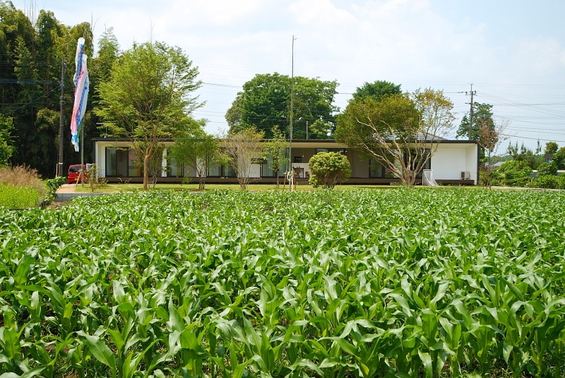 ark #115 COGITE住宅丨日本丨有限会社COGITE-40