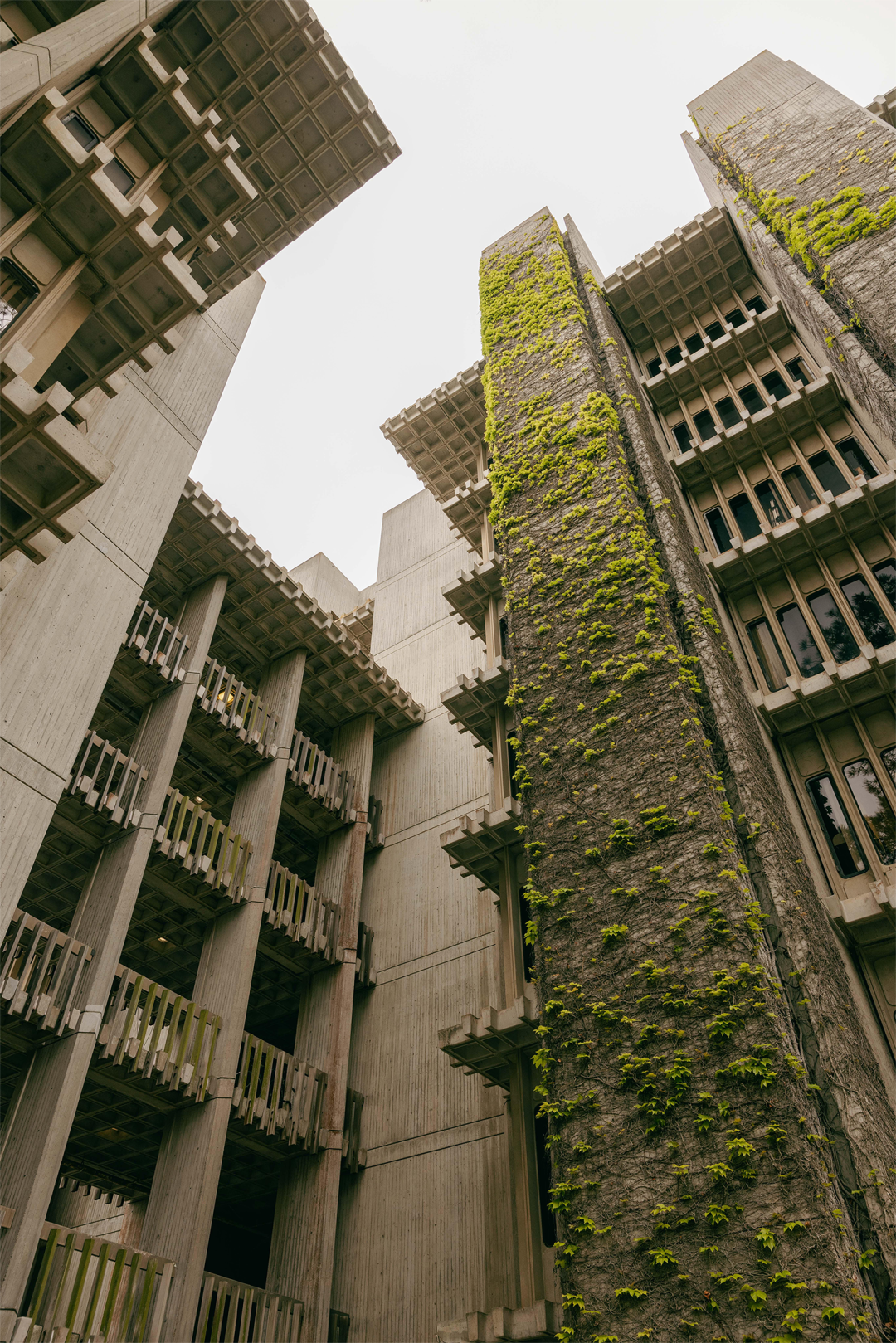 皇家国家剧院丨英国伦敦丨Denys Lasdun-93