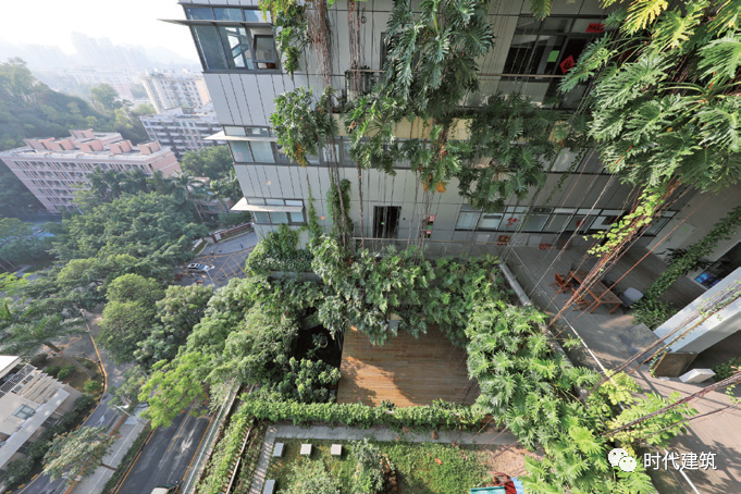 从共享设计到共享建设-51