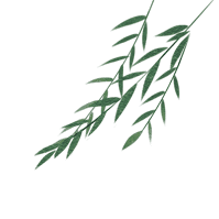 绿居仙踪 | 4.3 YIM 休闲 MUJI 风-70