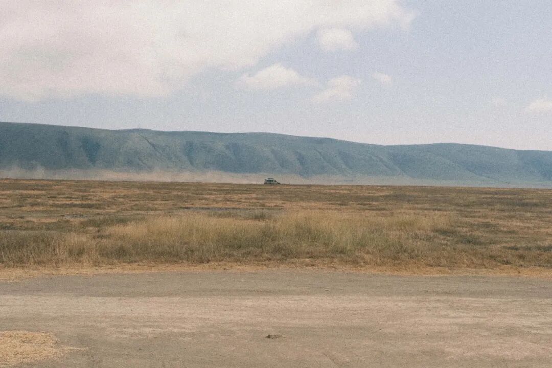 非洲考察1|初抵塞伦盖蒂-90