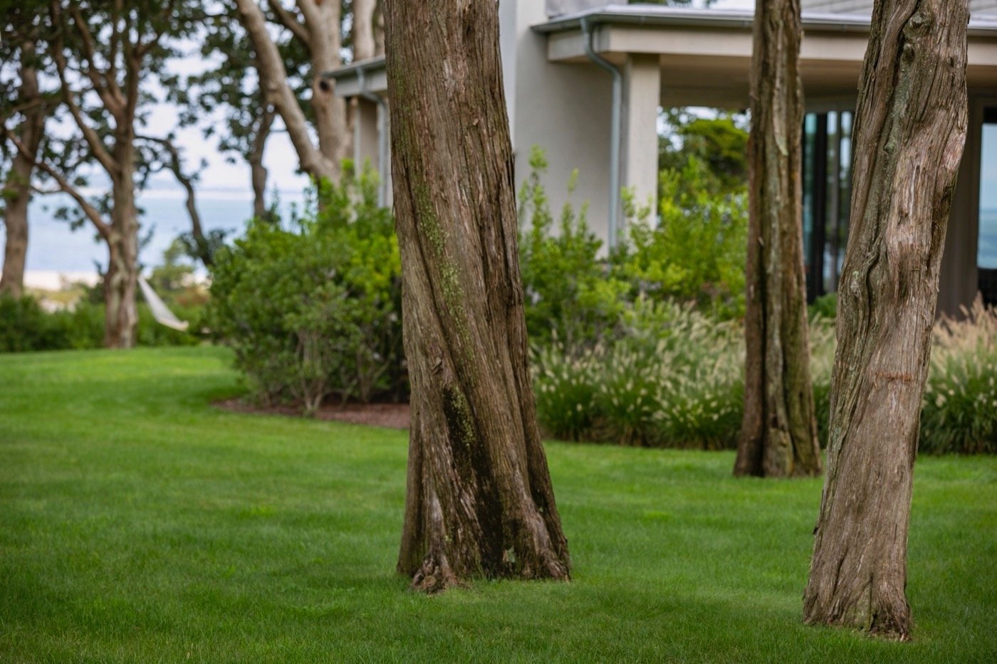 美国佩科尼克湾的 8 英亩地块景观-49