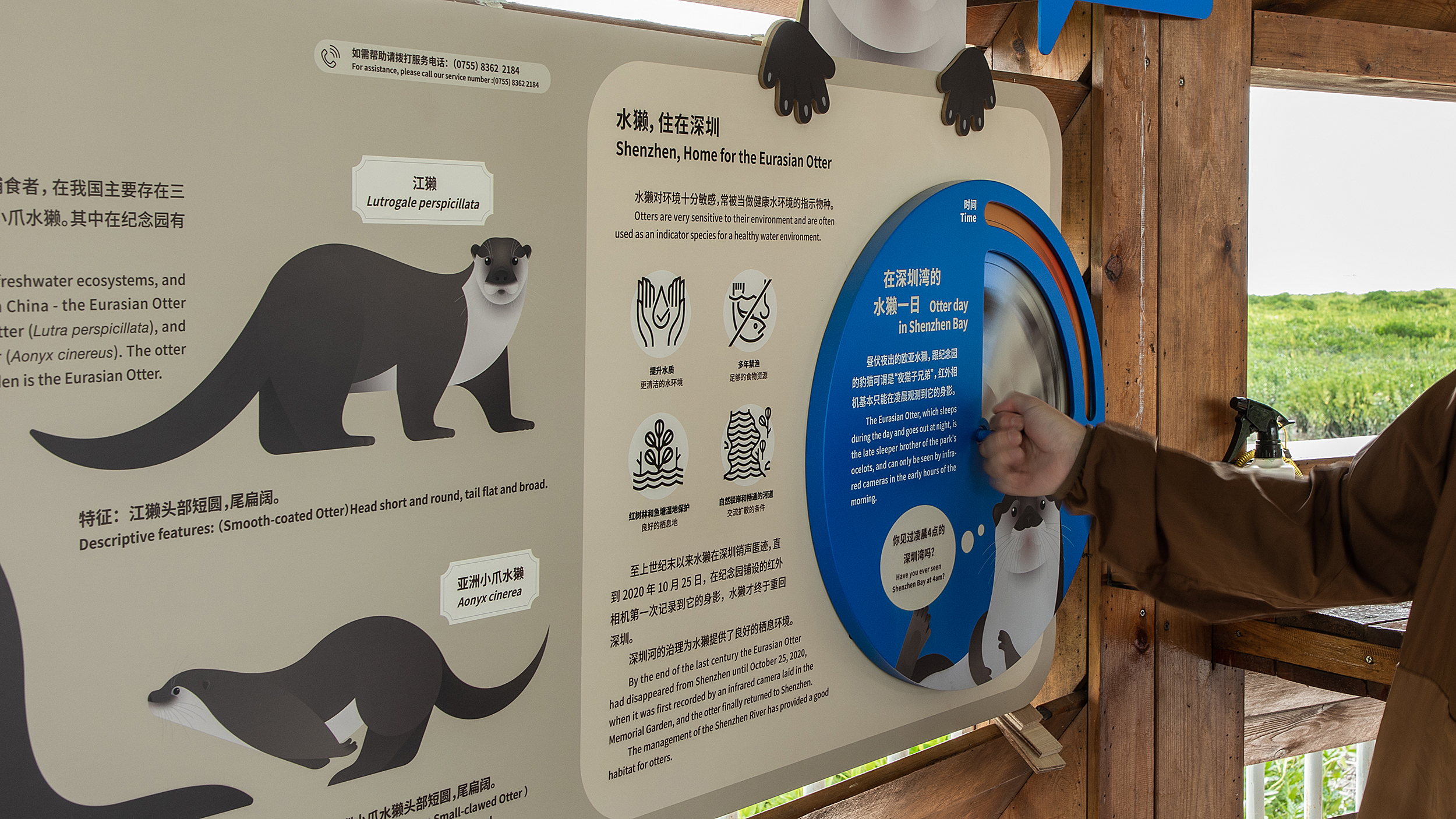 深圳红树林生态公园户外科普互动导视设计丨中国深圳丨共生领域(北京)文化传媒有限公司-49