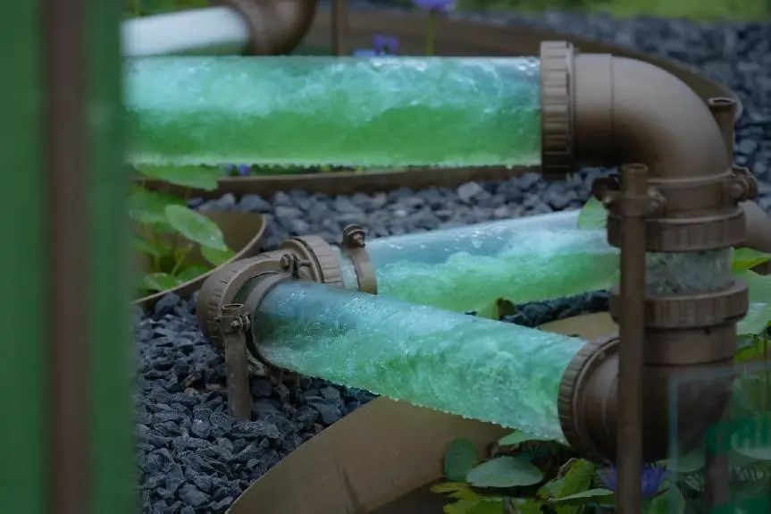 微藻实验花园：景观设计中的绿色新篇章-38