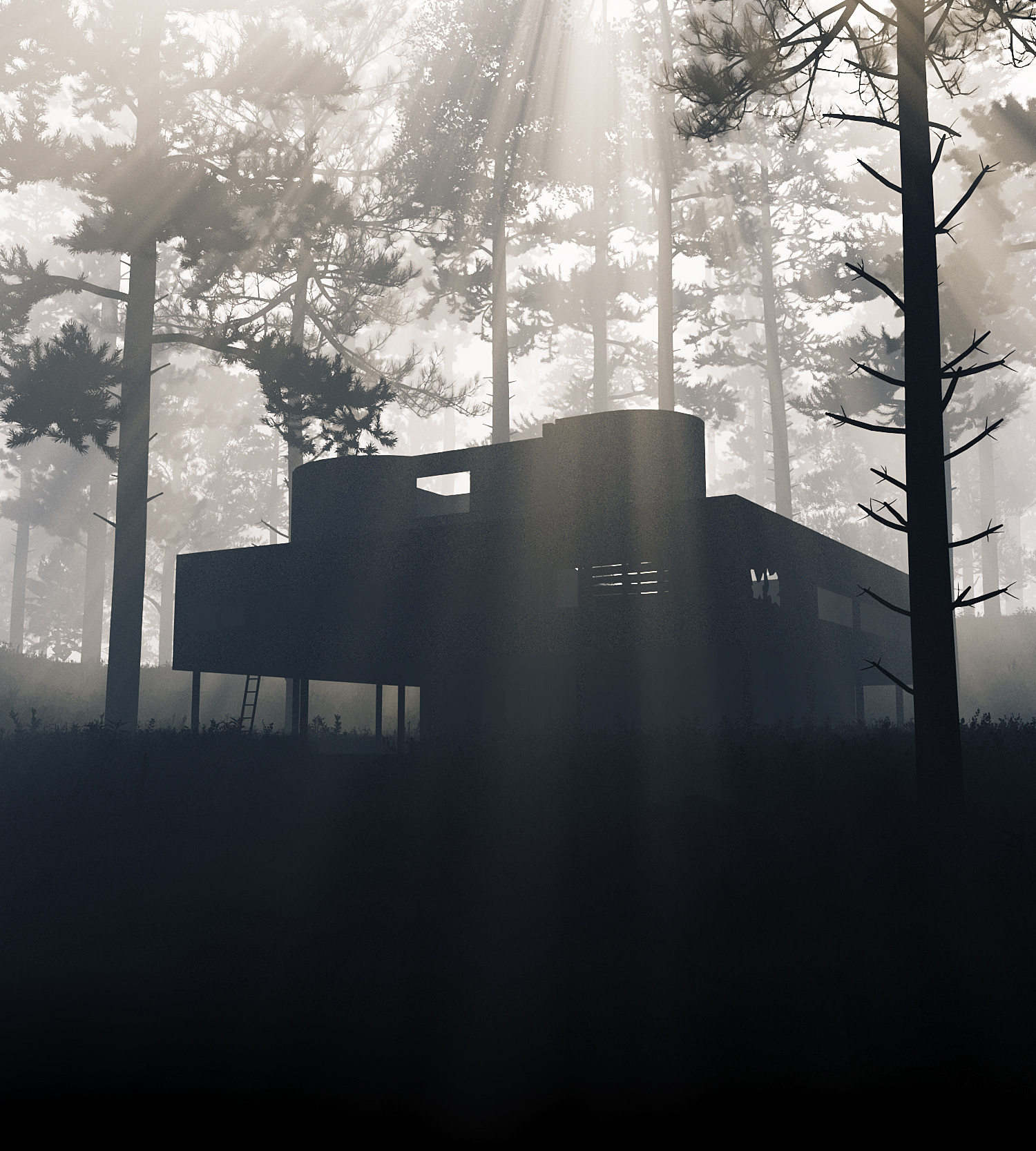 VILLA SAVOYE - Le Corbusier-3