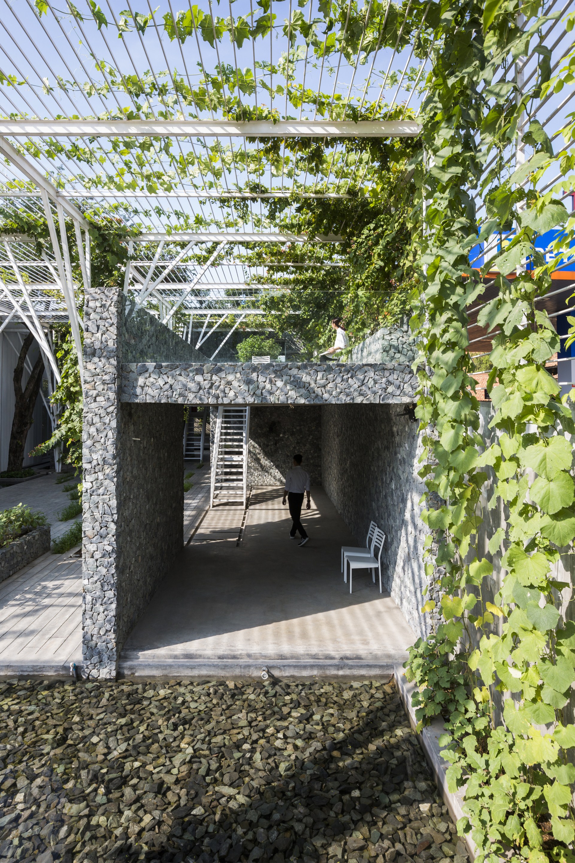 vegetable trellis-34