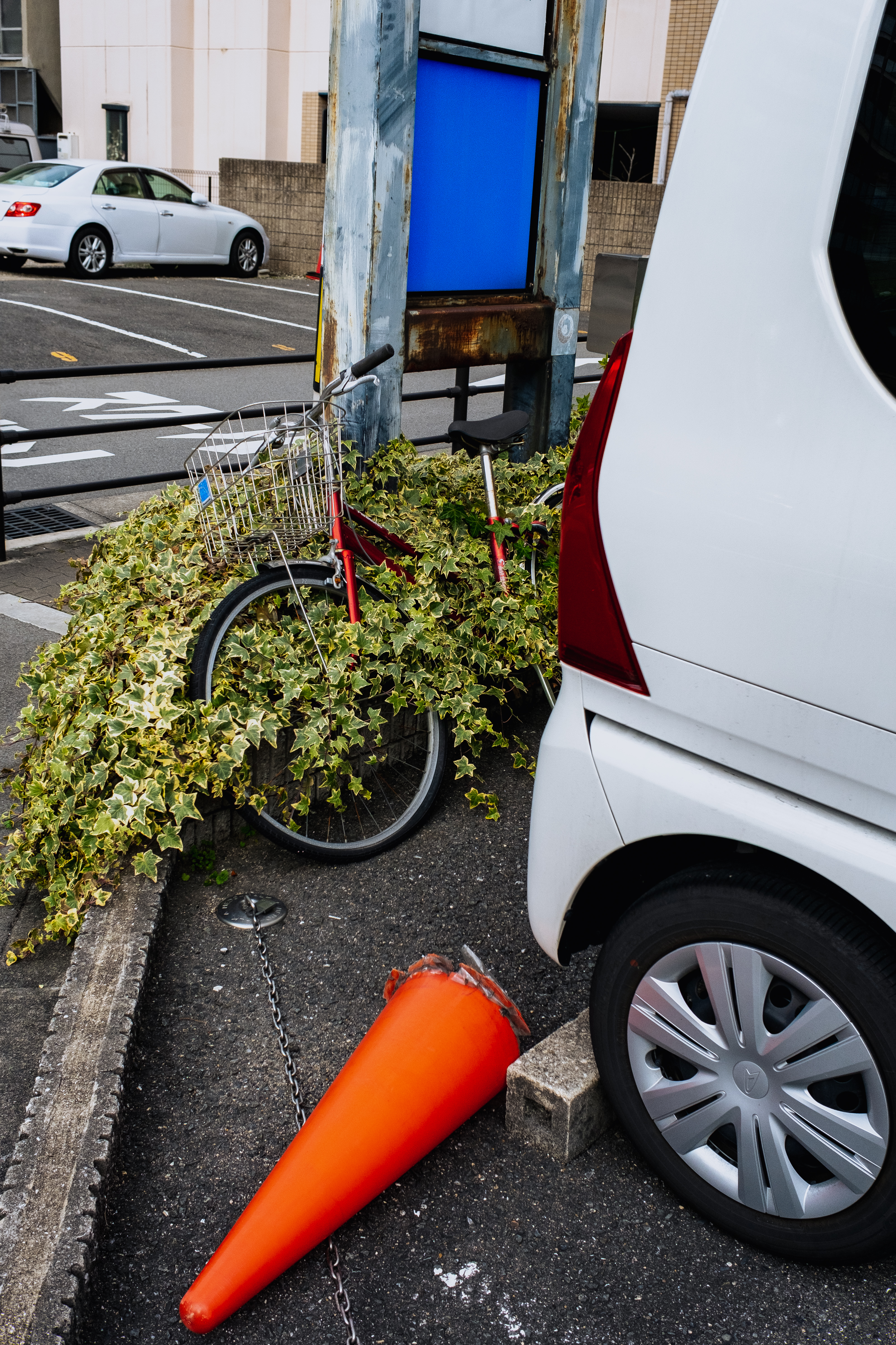 难忘瞬间摄影作品-3