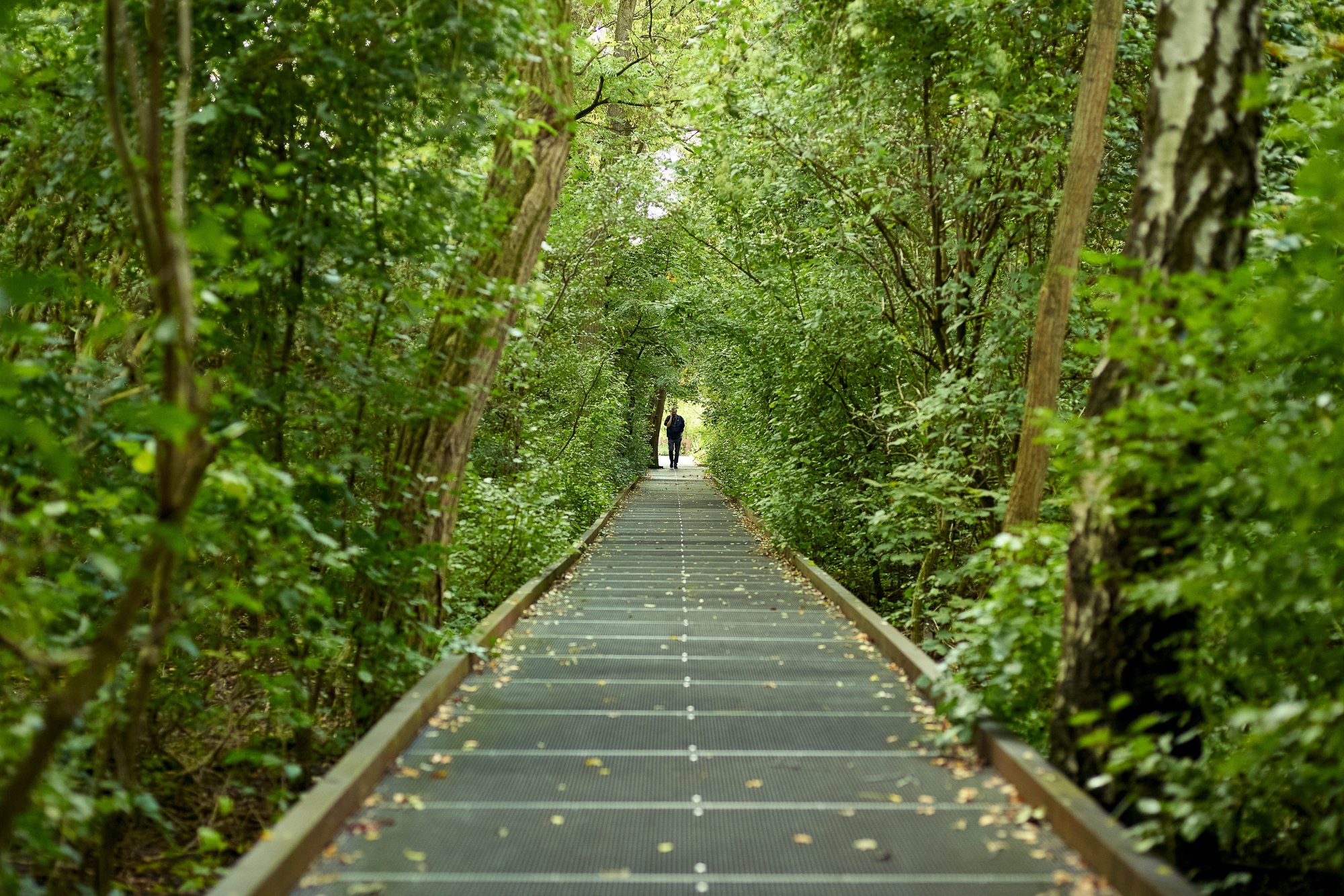 柏林南场地自然公园丨德国柏林-4