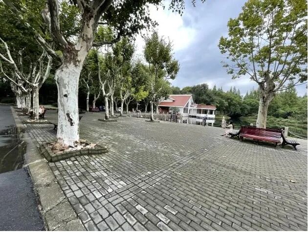 中国园林·理事专栏|“拓”之力量：杨浦公园改造纪实(三)-43