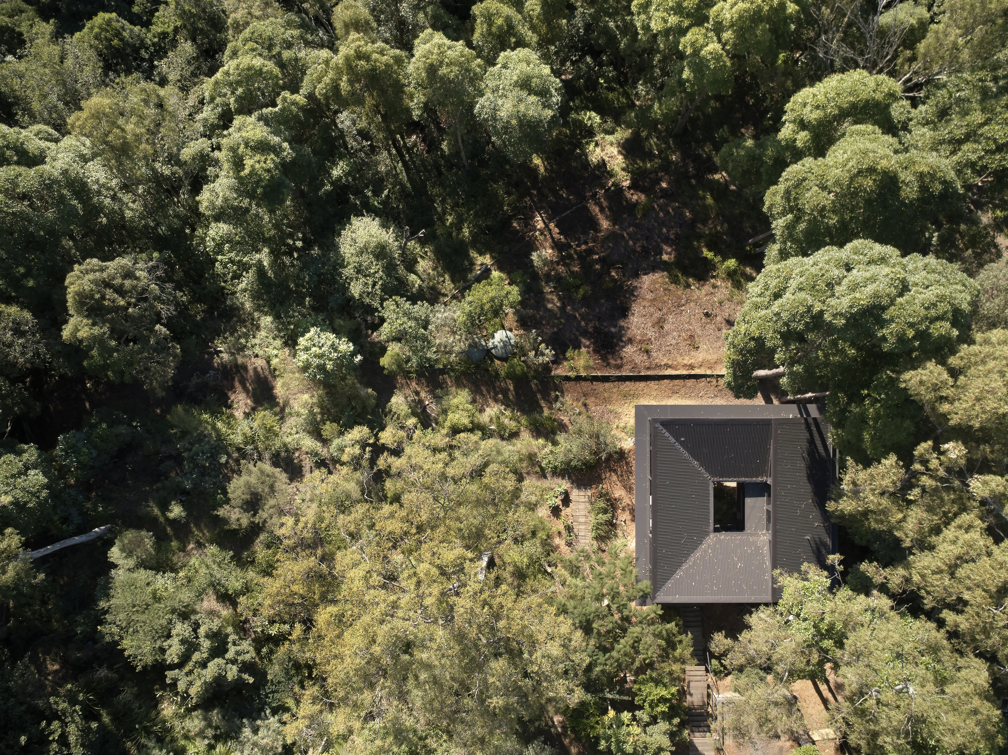 日出工作室丨澳大利亚布里斯班丨Bark Design Architects-17