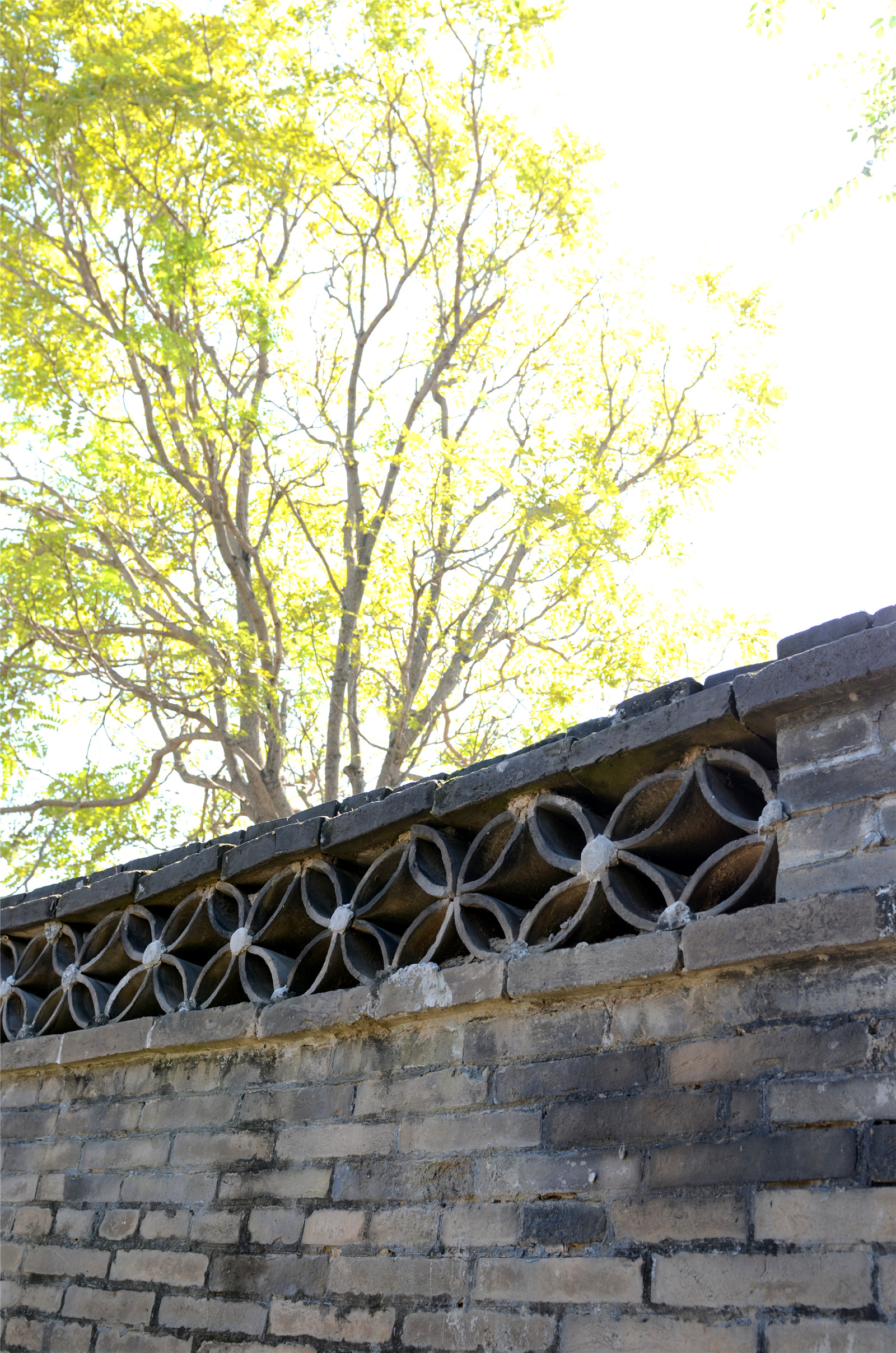 河北白洋淀民居改造-0