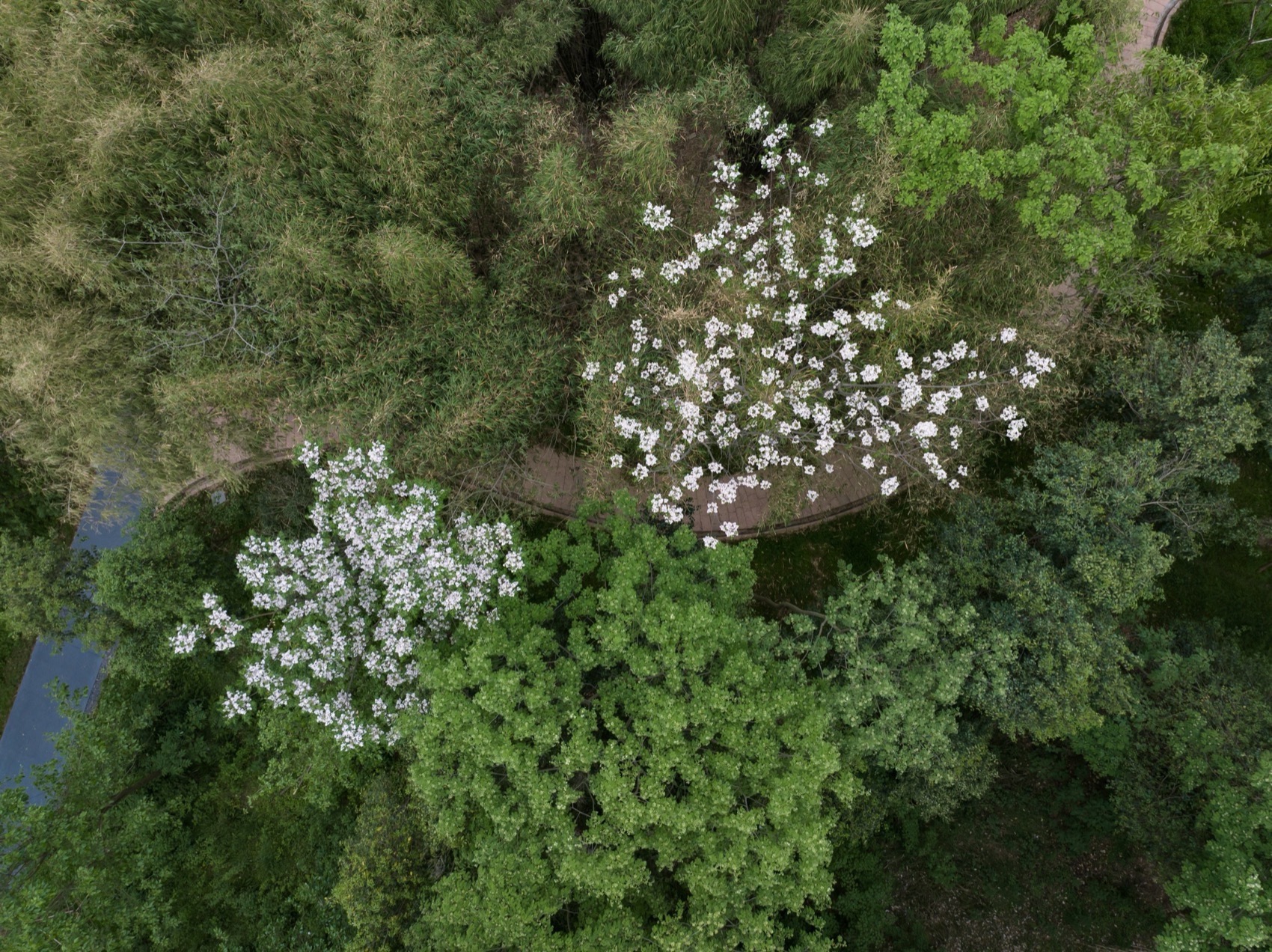 麓野公园丨中国成都丨四川乐道景观设计有限公司-141