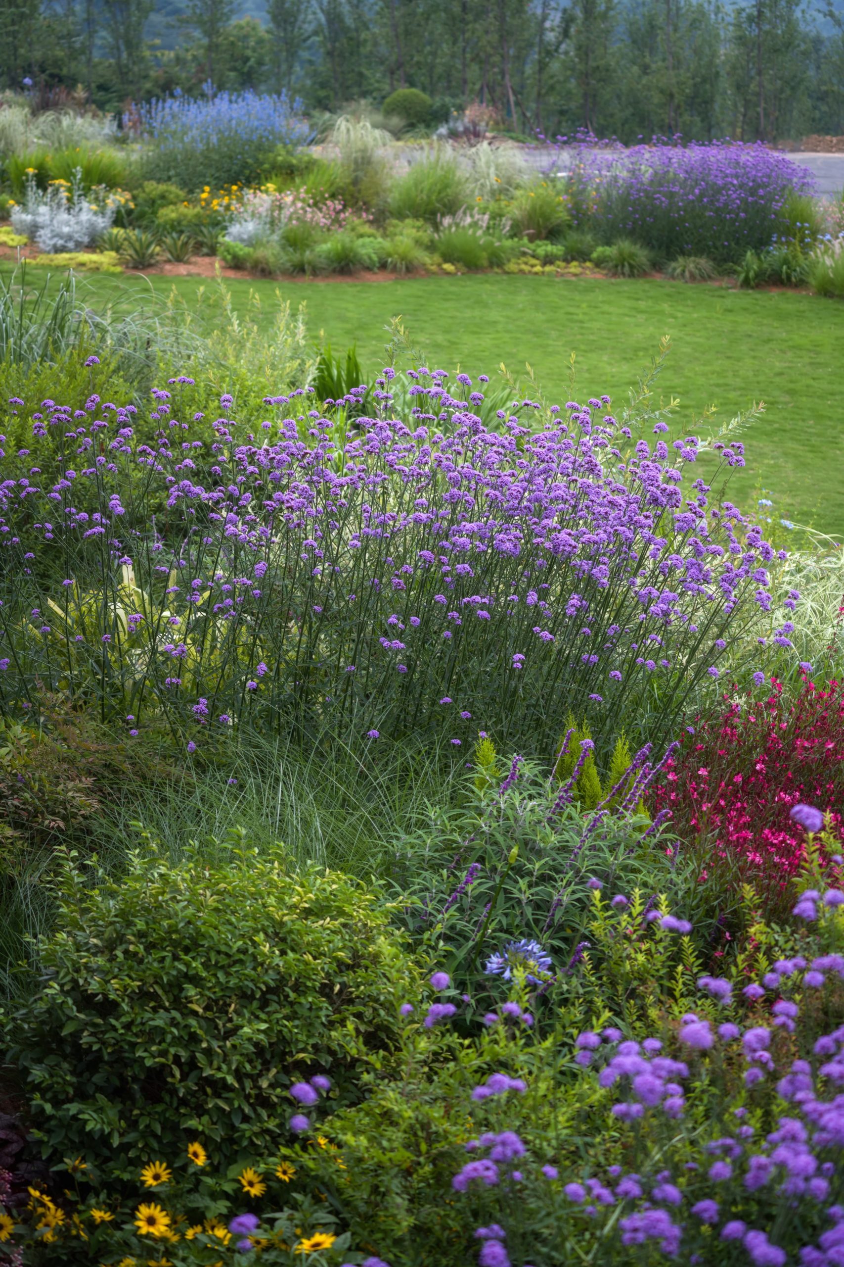 峨眉·高桥小镇丨中国眉山丨四川乐道景观设计有限公司-37