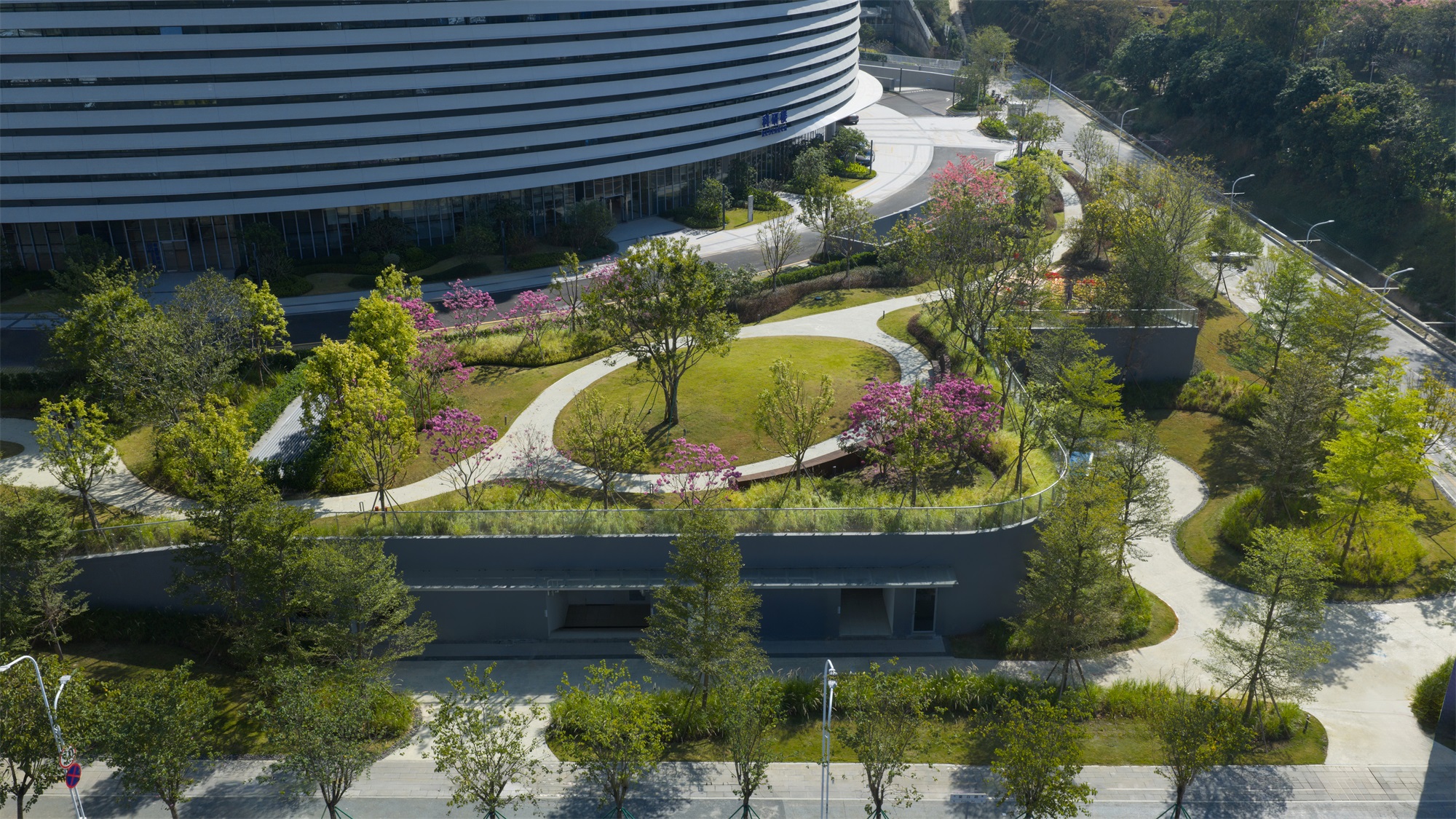 深圳市第二人民医院大鹏医院丨中国深圳丨景观设计为深圳市希尔景观设计有限公司等多家-36