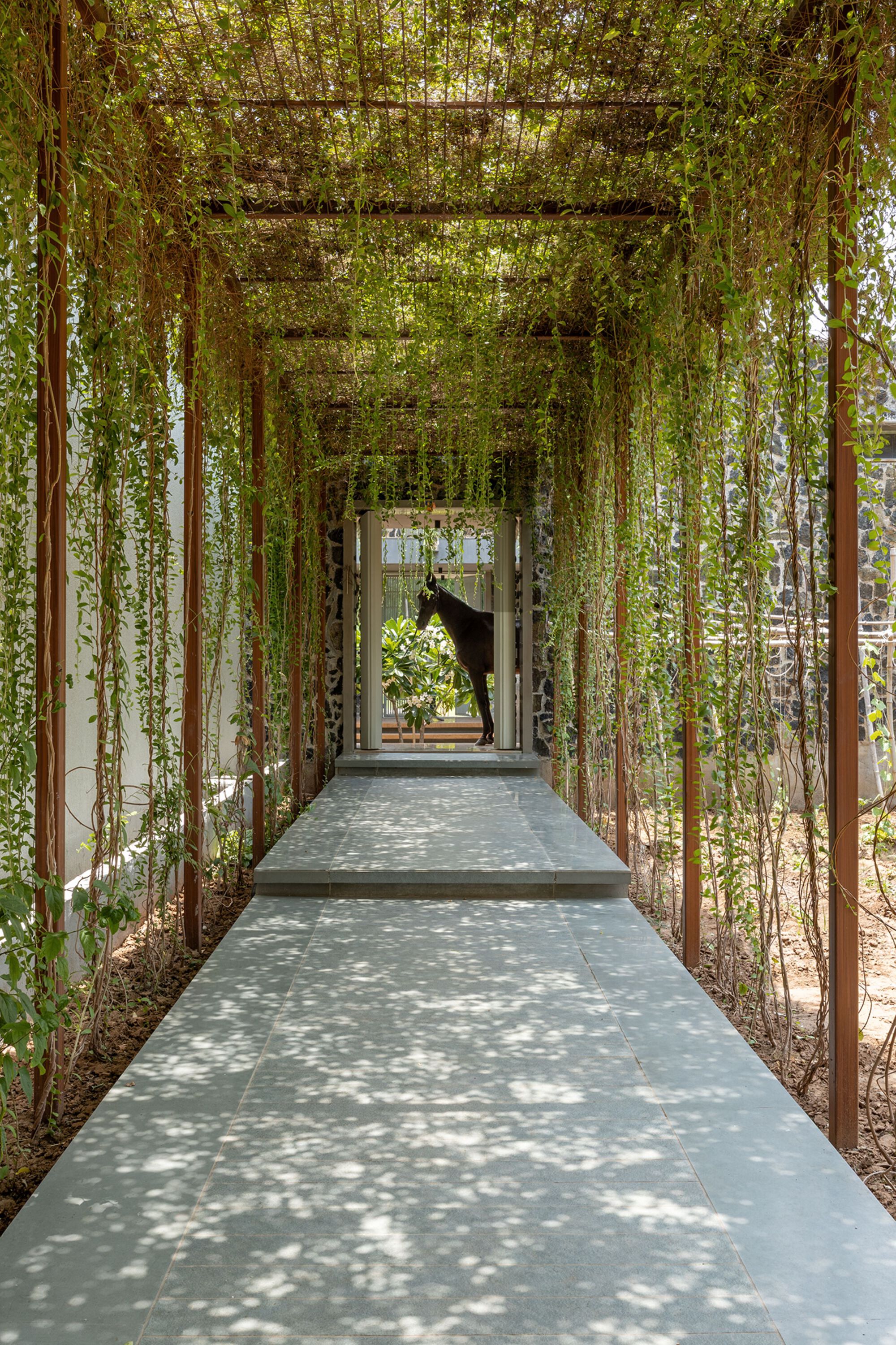 丨印度丨MS DESIGN STUDIO-18