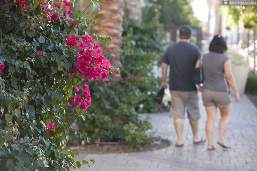 奥泰牧场镇中心-1