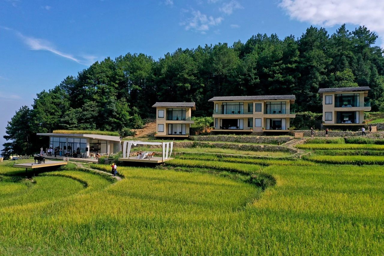 重庆飞茑集 | 睡入云端，尽享清凉山城田园生活-18