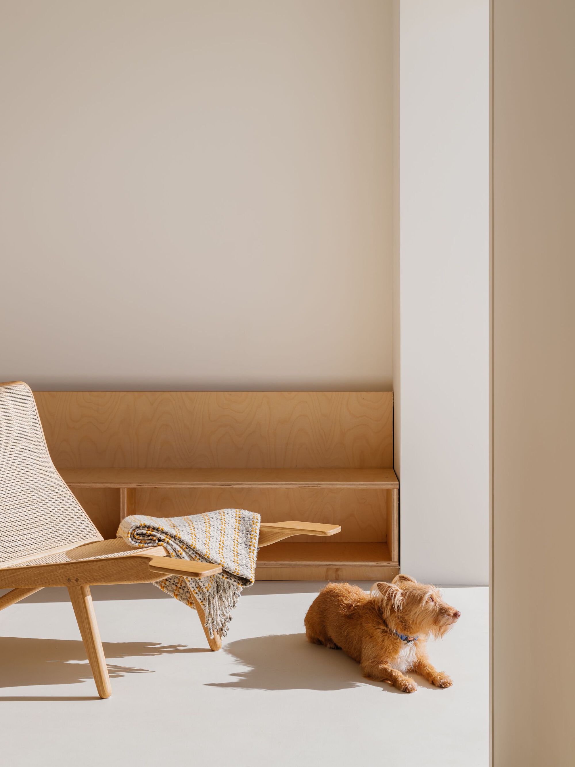 帕索达科什公寓丨葡萄牙丨Site Specific Arquitectura-19