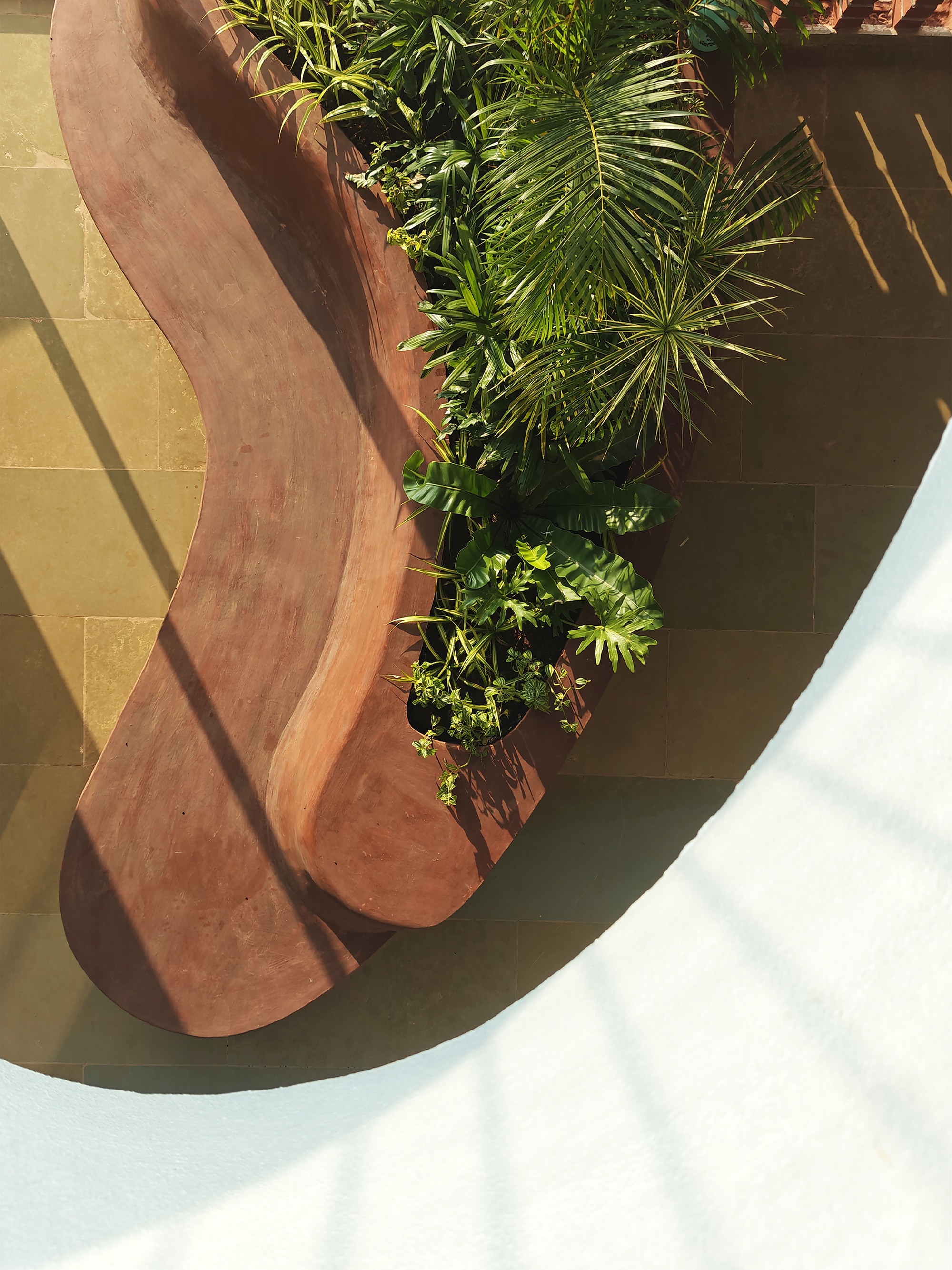 丨印度丨unTAG-23