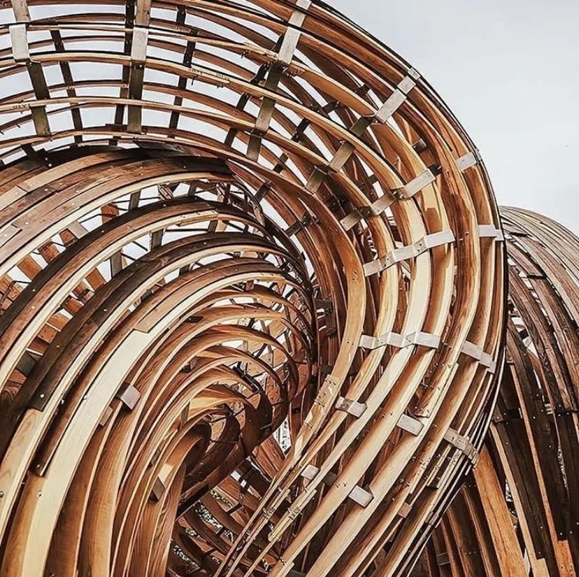 数字未来 2020 全球抗疫公益数字工作营全导师阵容揭晓！-423