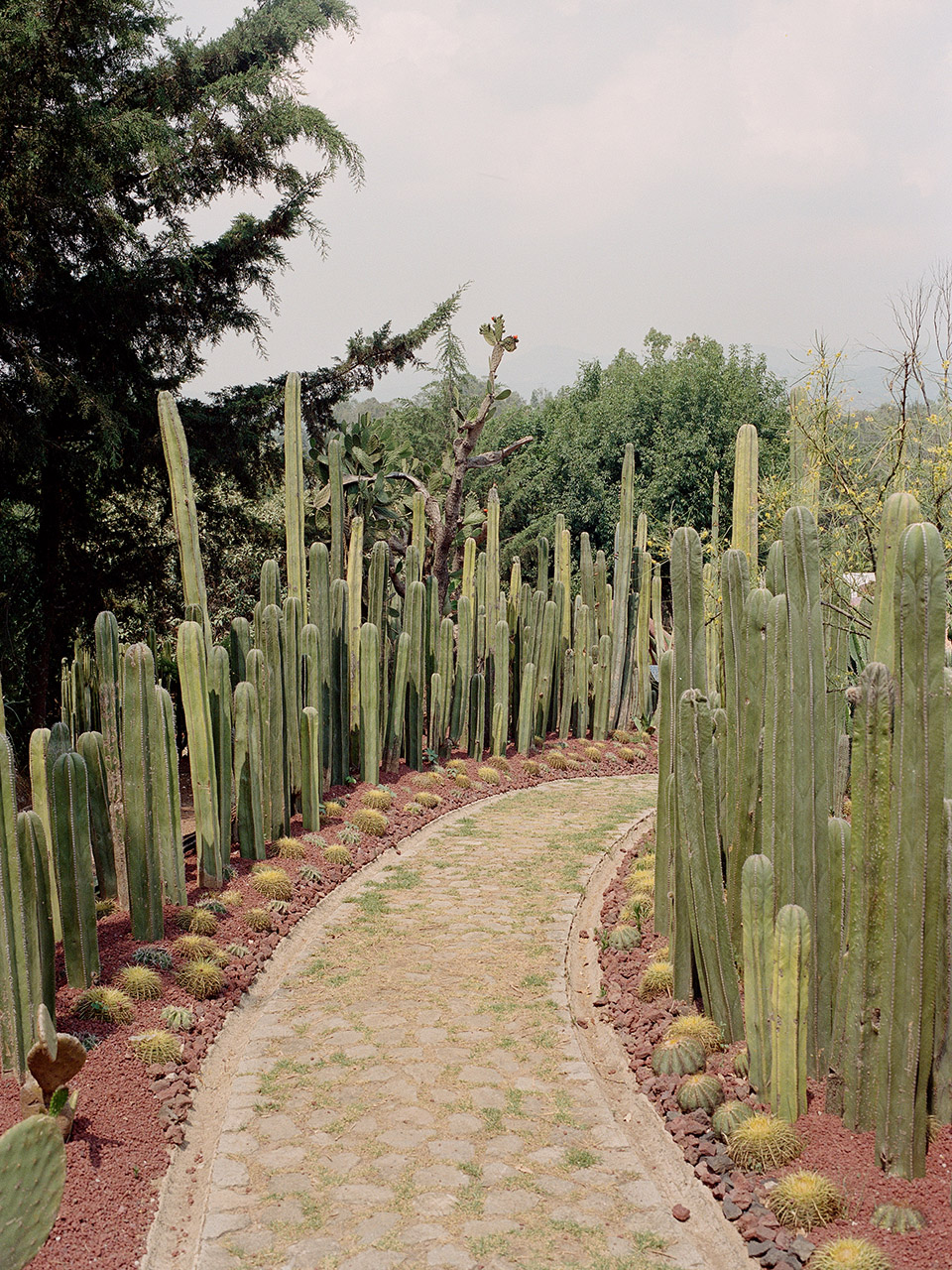 羽蛇神的巢穴丨墨西哥丨Javier Senosiain Aguilar-76