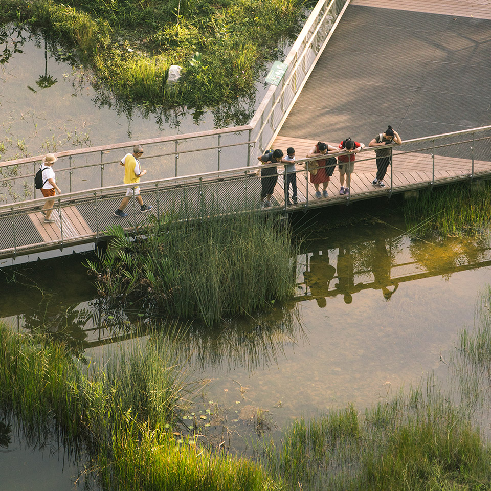 射靶场自然公园丨新加坡丨Henning Larsen-20