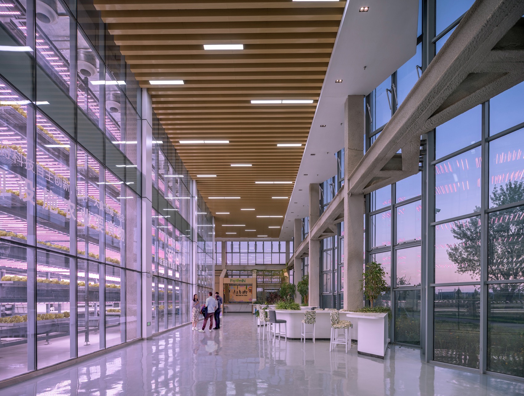 衡水垂直农场丨中国衡水丨van Bergen Kolpa建筑事务所-43