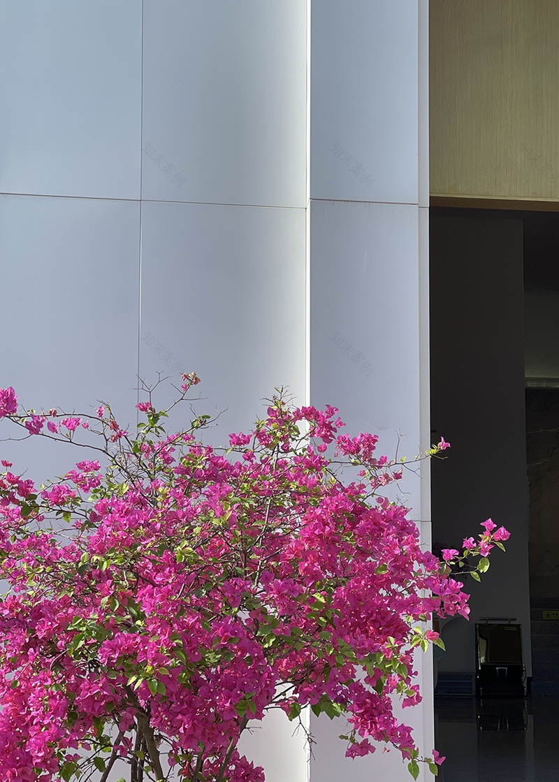 武汉光谷蜜糖镇生活美学馆丨中国武汉丨张文基-18