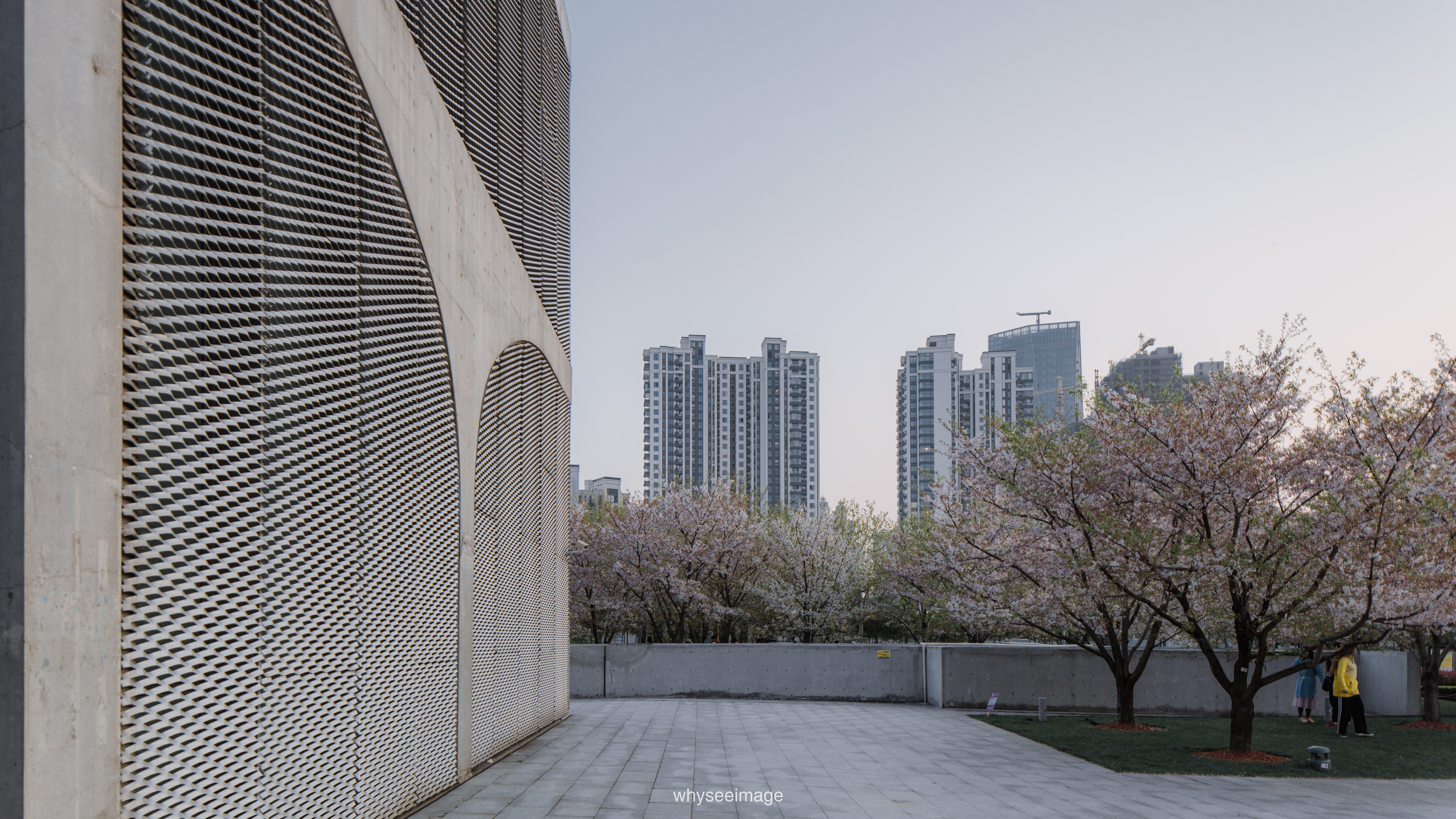 樱花+龙美术馆丨中国上海丨大舍建筑设计工作室-147