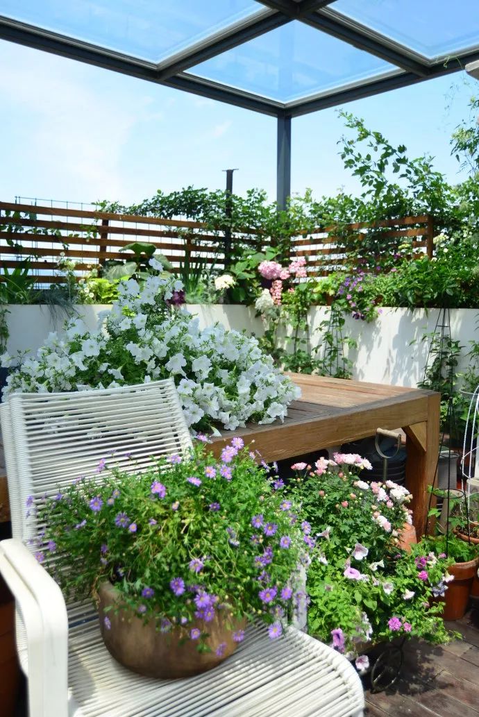 她在楼顶悄悄建了一座梦想花园，美翻了！这才是把日子过成诗的样子-118