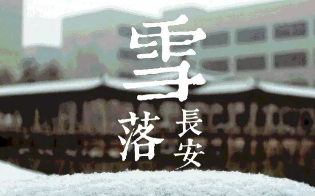 曲江紫薇意境 | 黑与白的简约纯粹之美-9