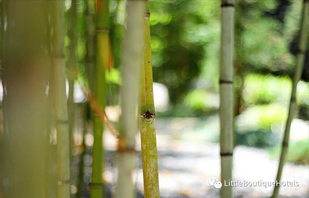 热海馥府度假酒店丨日本静冈-103