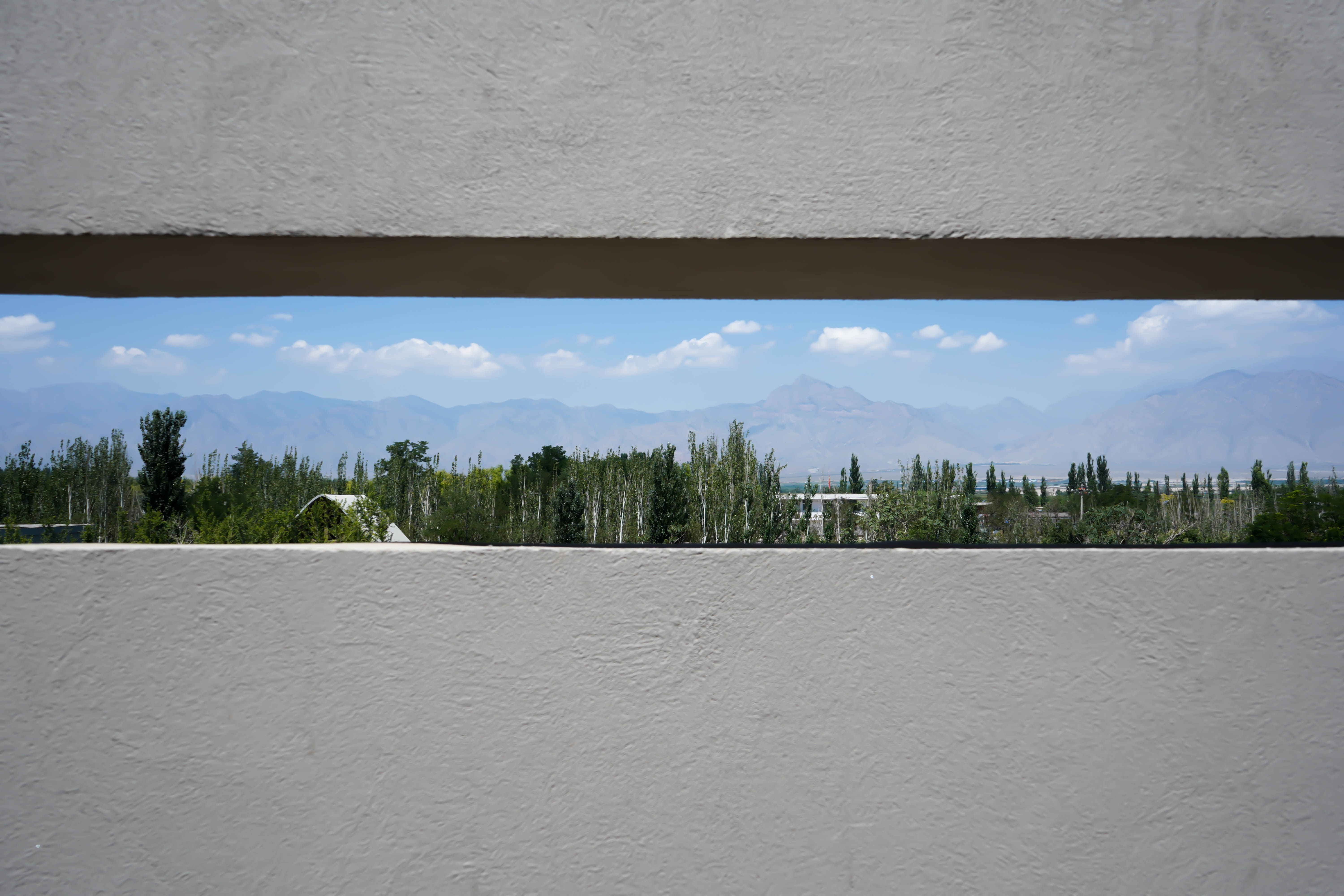 全球首个枸杞特产庄园丨中国银川丨夏科,唐志林-11