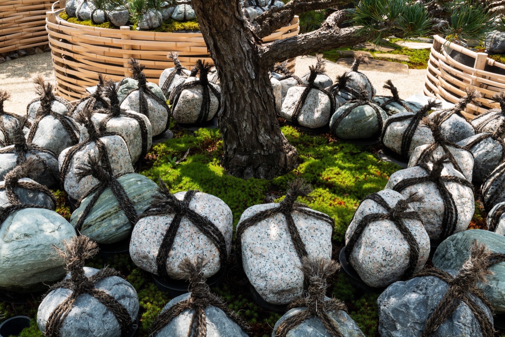 正福寺墓园Sōbon丨日本东京丨Love Architecture-45