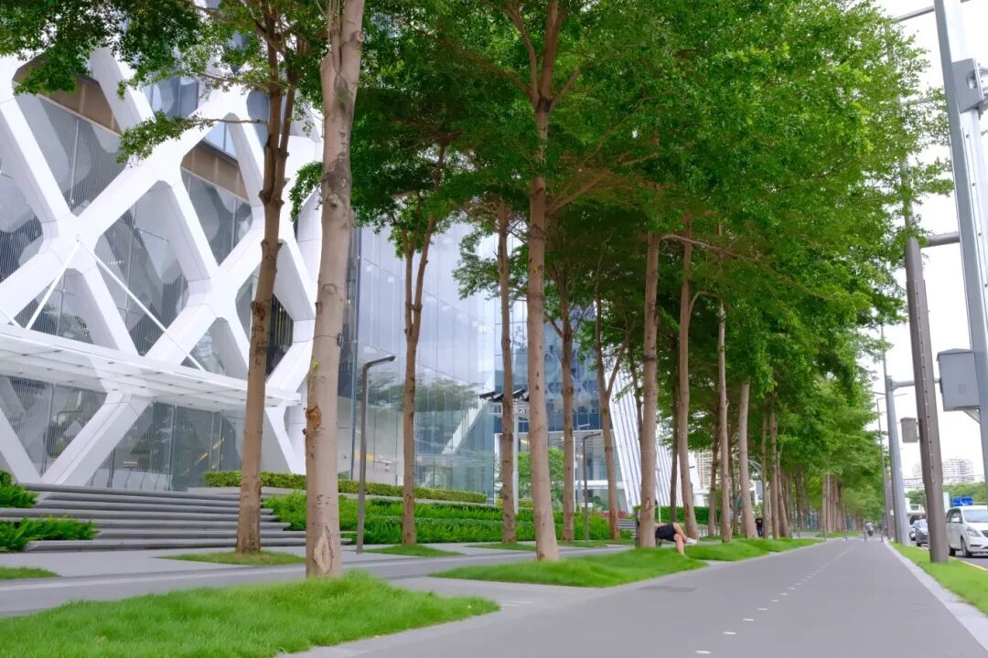 宝安中心区核心路段改造设计再次斩获国际大奖-21