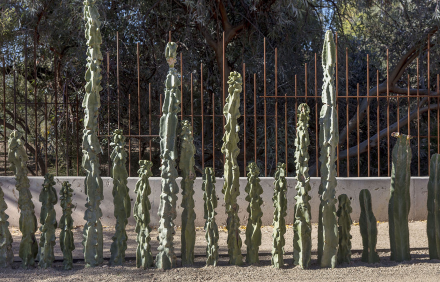 沙漠植物园一期丨美国-108
