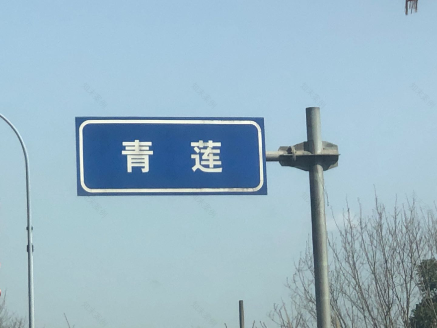 谢帆 | 从木桩到原点的艺术之旅-8