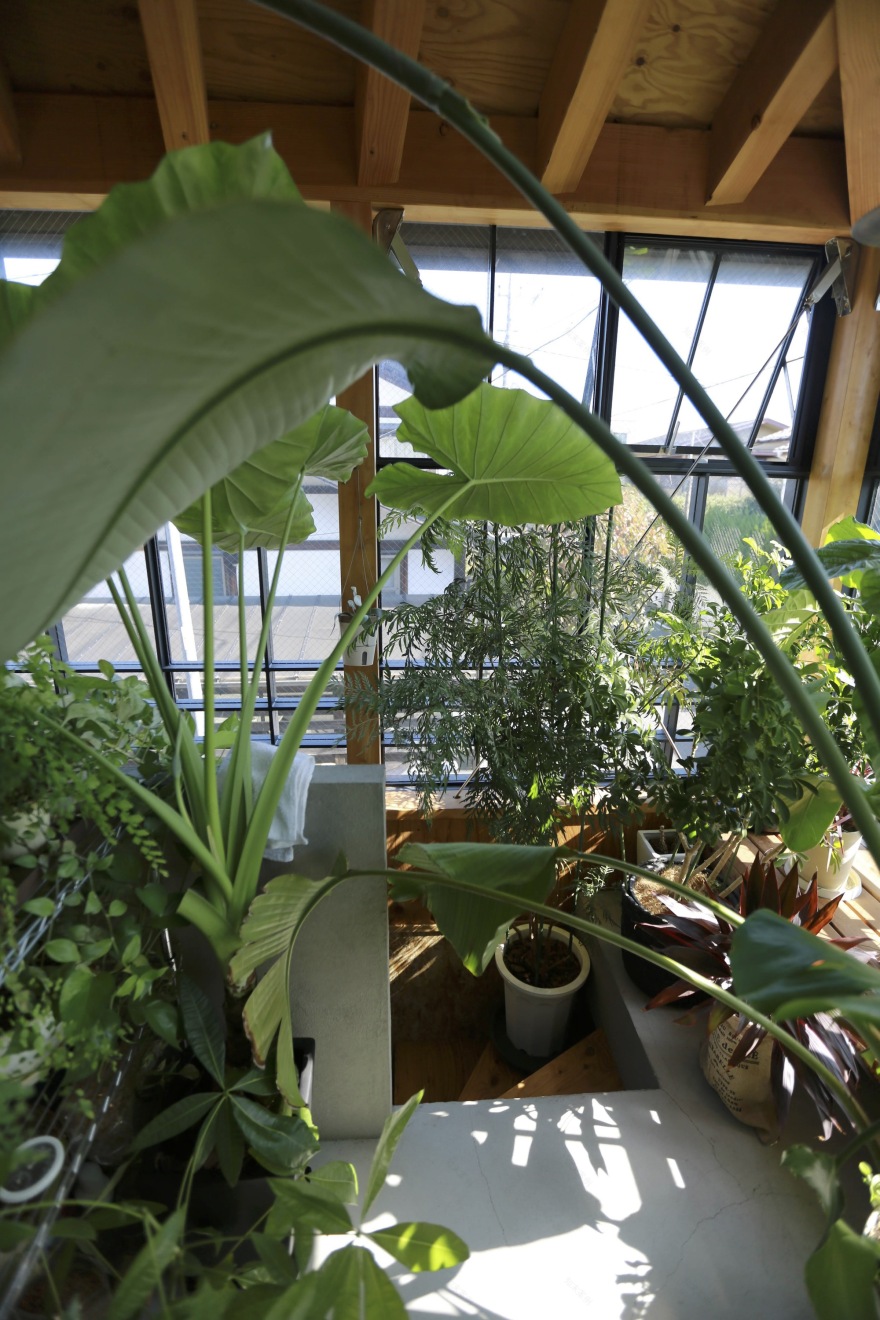 木本之家丨日本丨Niko Design Studio-34