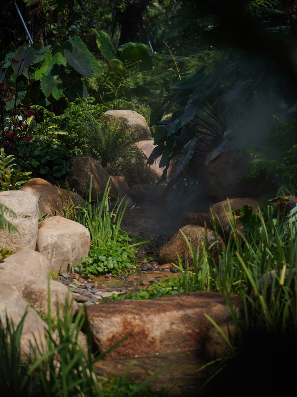 三亚海棠河生态公园阔叶浅溪段的花境生态营造丨中国三亚丨LOLA景观建筑设计事务所-51