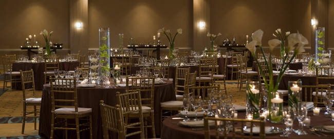 现代主义的酒店   The Baronette Renaissance Hotel  D ash Design-3