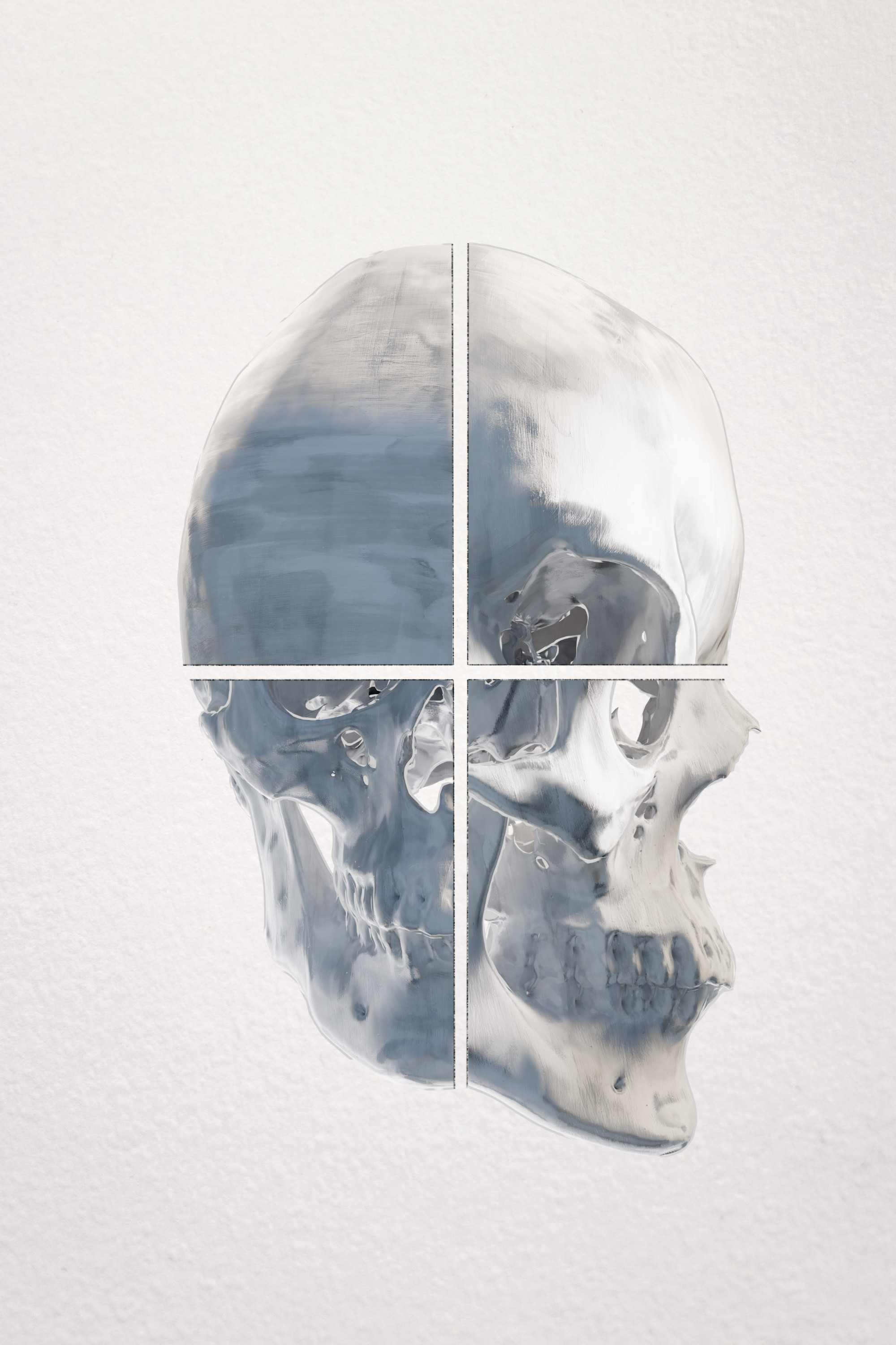 风格化生物学-10