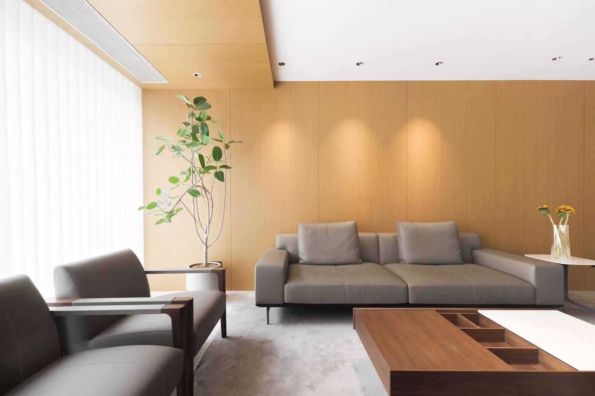 自然人文风别墅-10