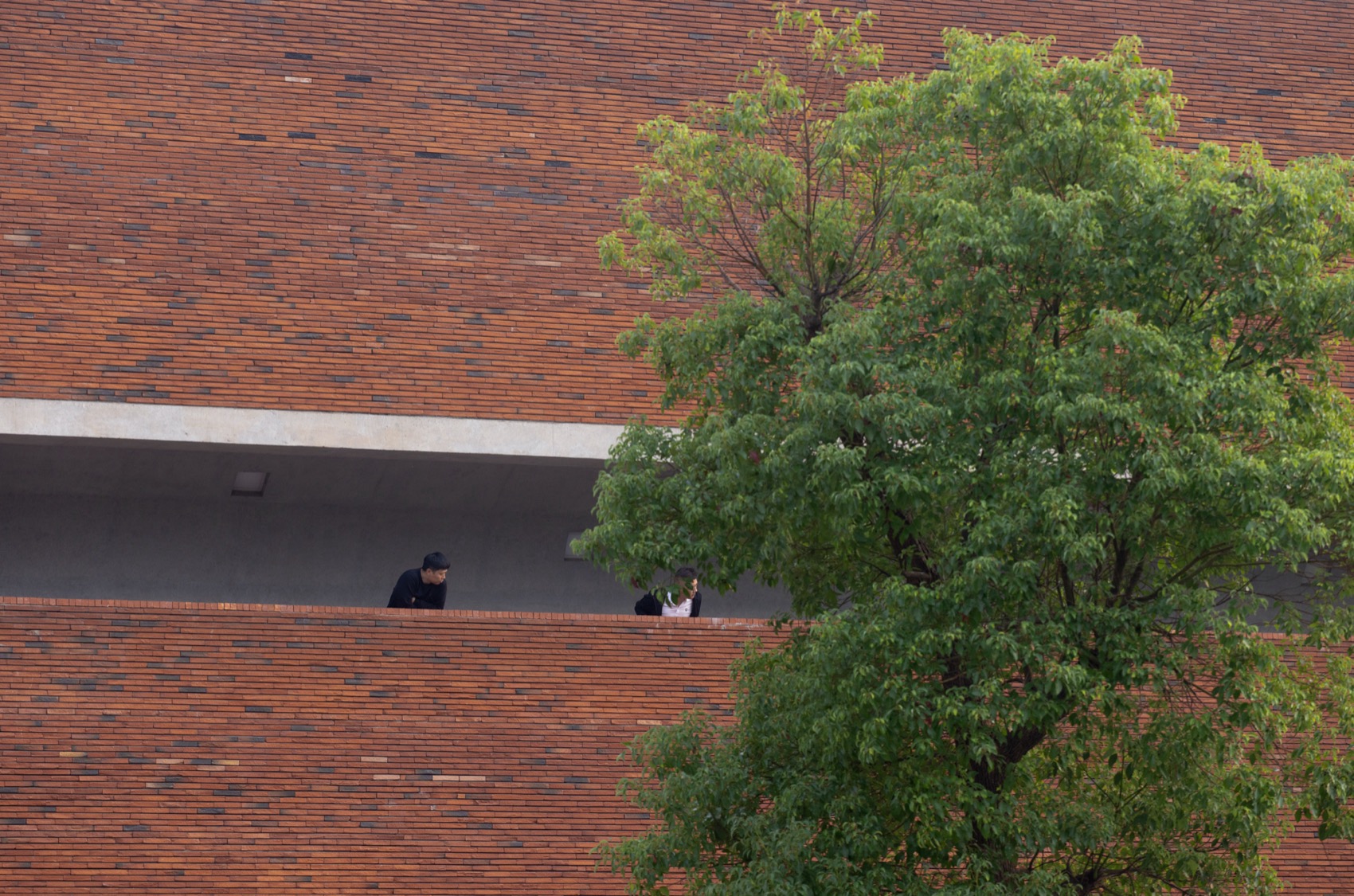 益阳三周文化广场丨中国益阳丨地方工作室-133