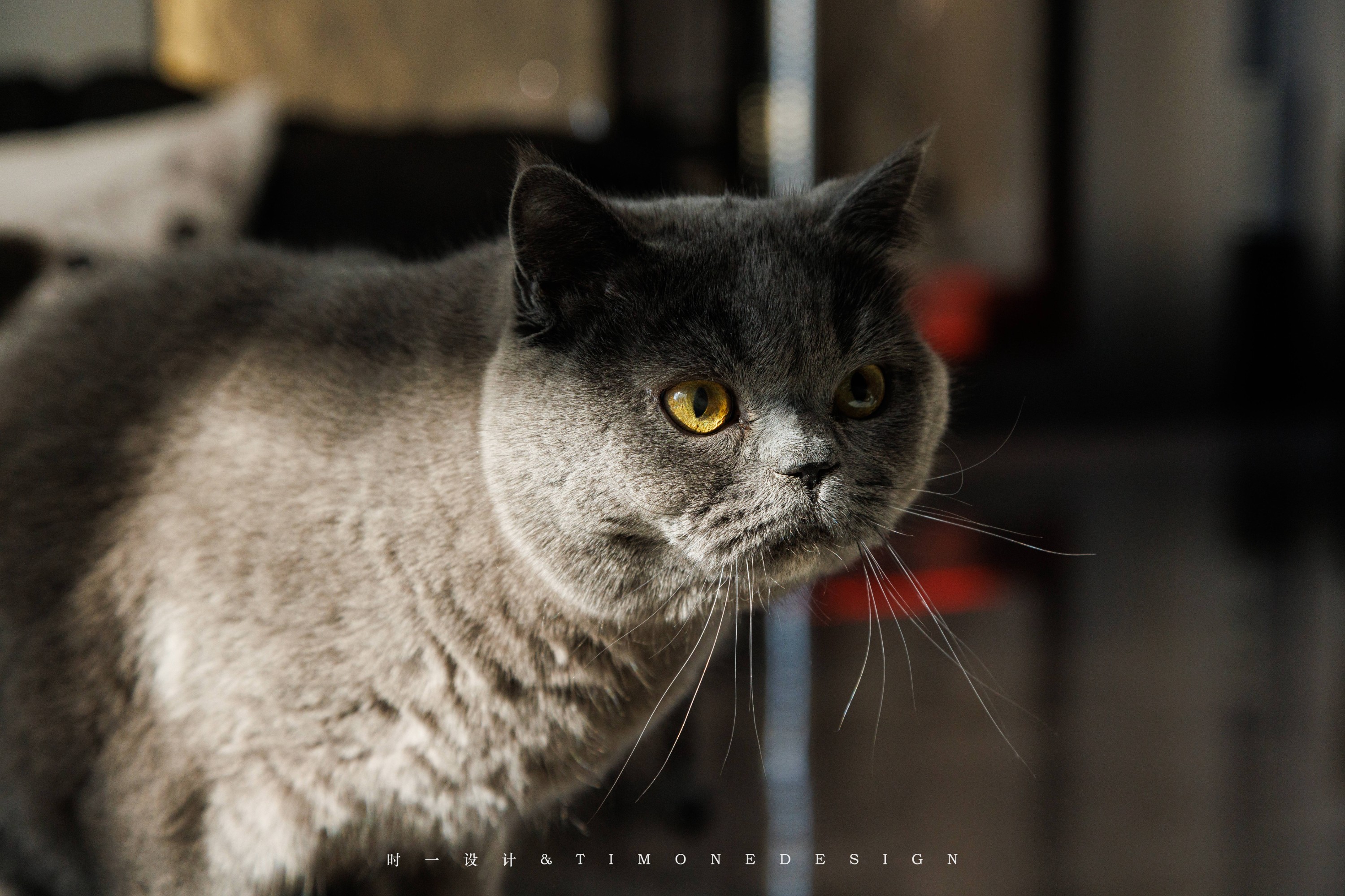 兴华·御水澜湾丨中国武汉丨时一设计-16