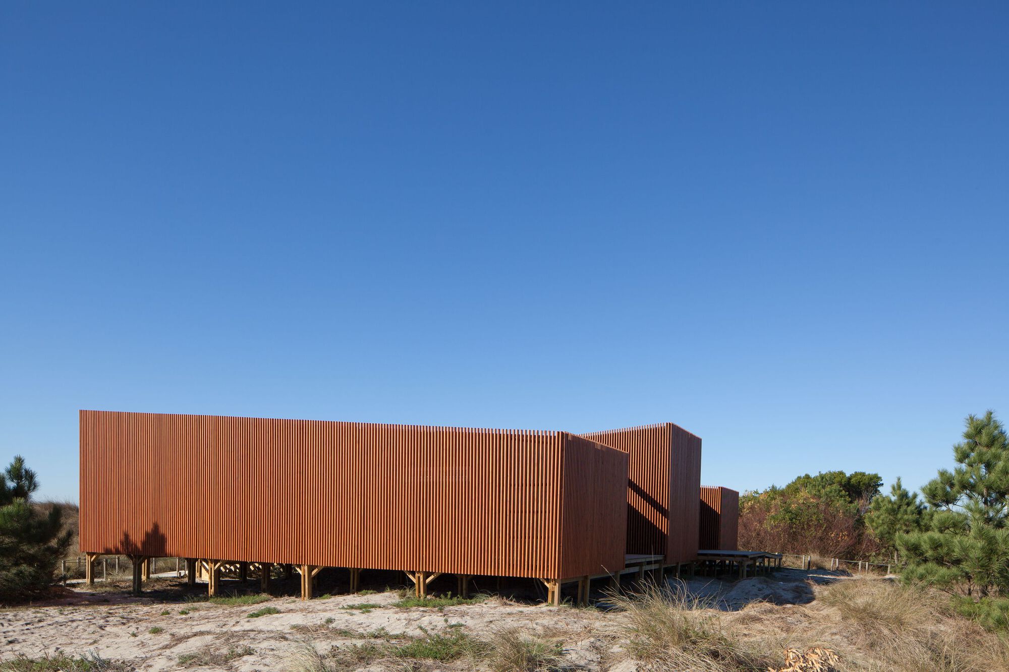Support Center for Sports Activities / Branco Cavaleiro Architects-39