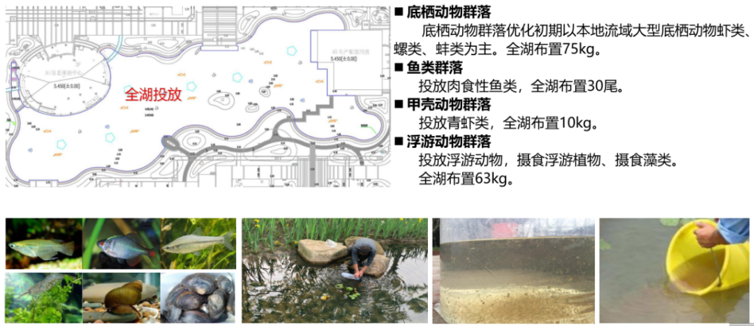 中国电信浙江创新园（西区）A组团丨中国杭州丨中国美术学院风景建筑设计研究总院有限公司教师创作设计研究院-56