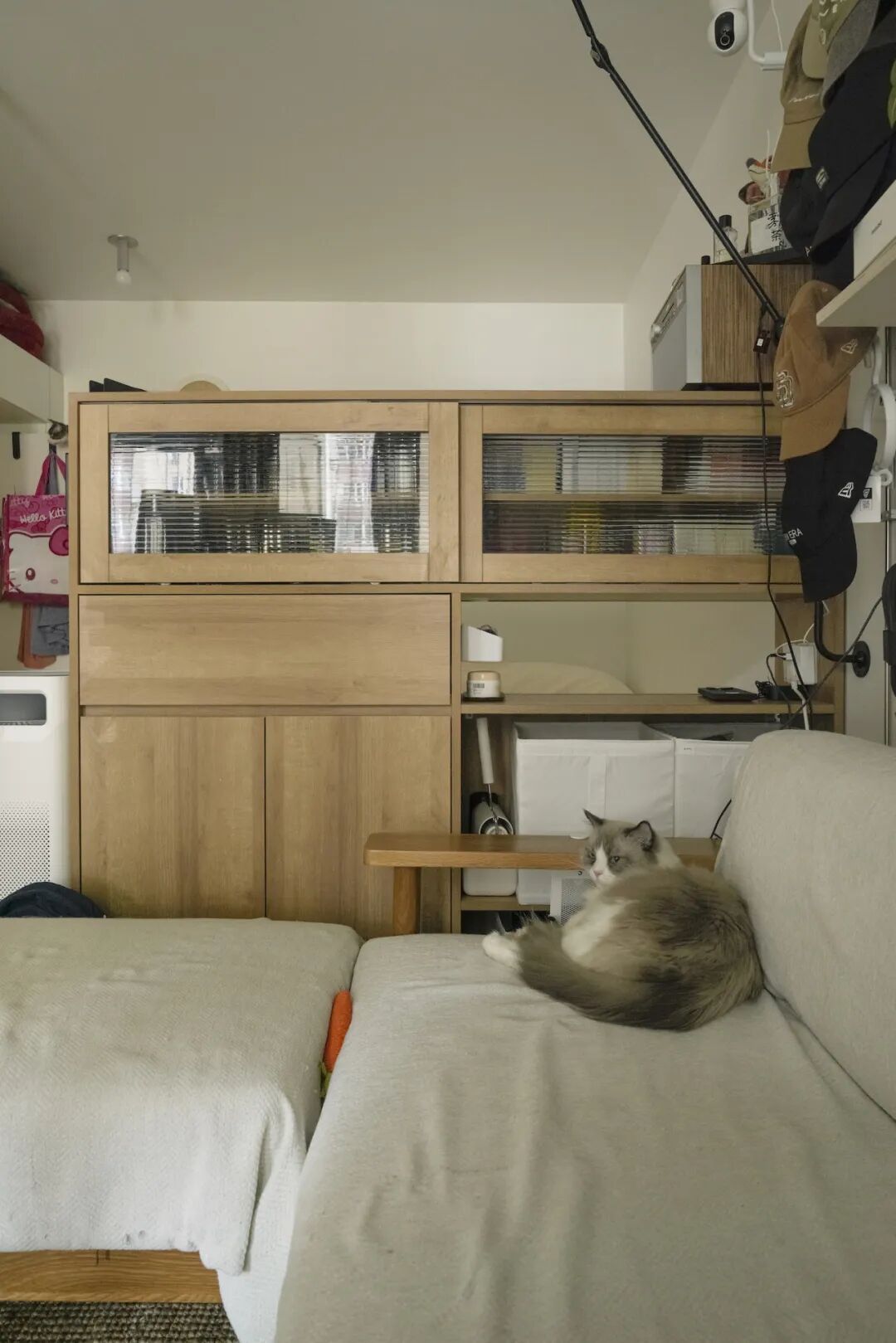 44㎡的治愈宇宙：一人四猫的共生乐园，小户型里的极致温柔-111