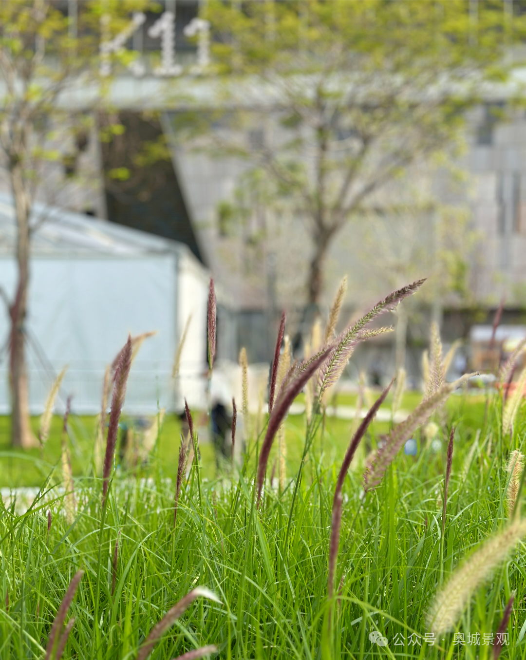 奥城景观||深圳•招商•太子湾K11项目景观工程-45