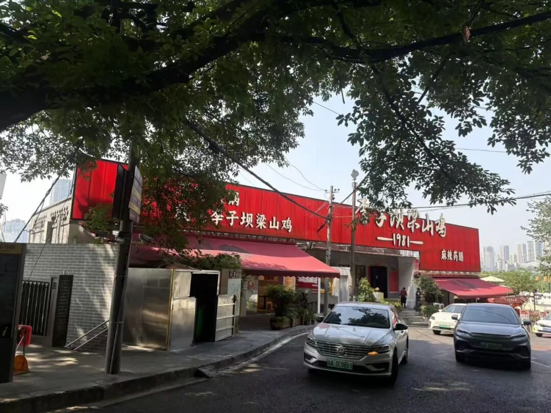 李子坝梁山鸡|纯手工鸡汤抄手-21